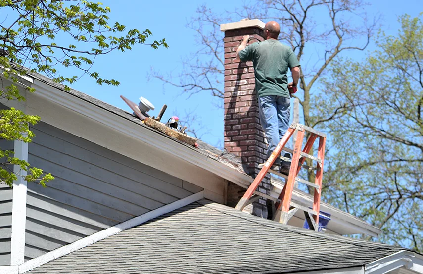 Chimney & Fireplace Inspections Services in North Potomac, MD